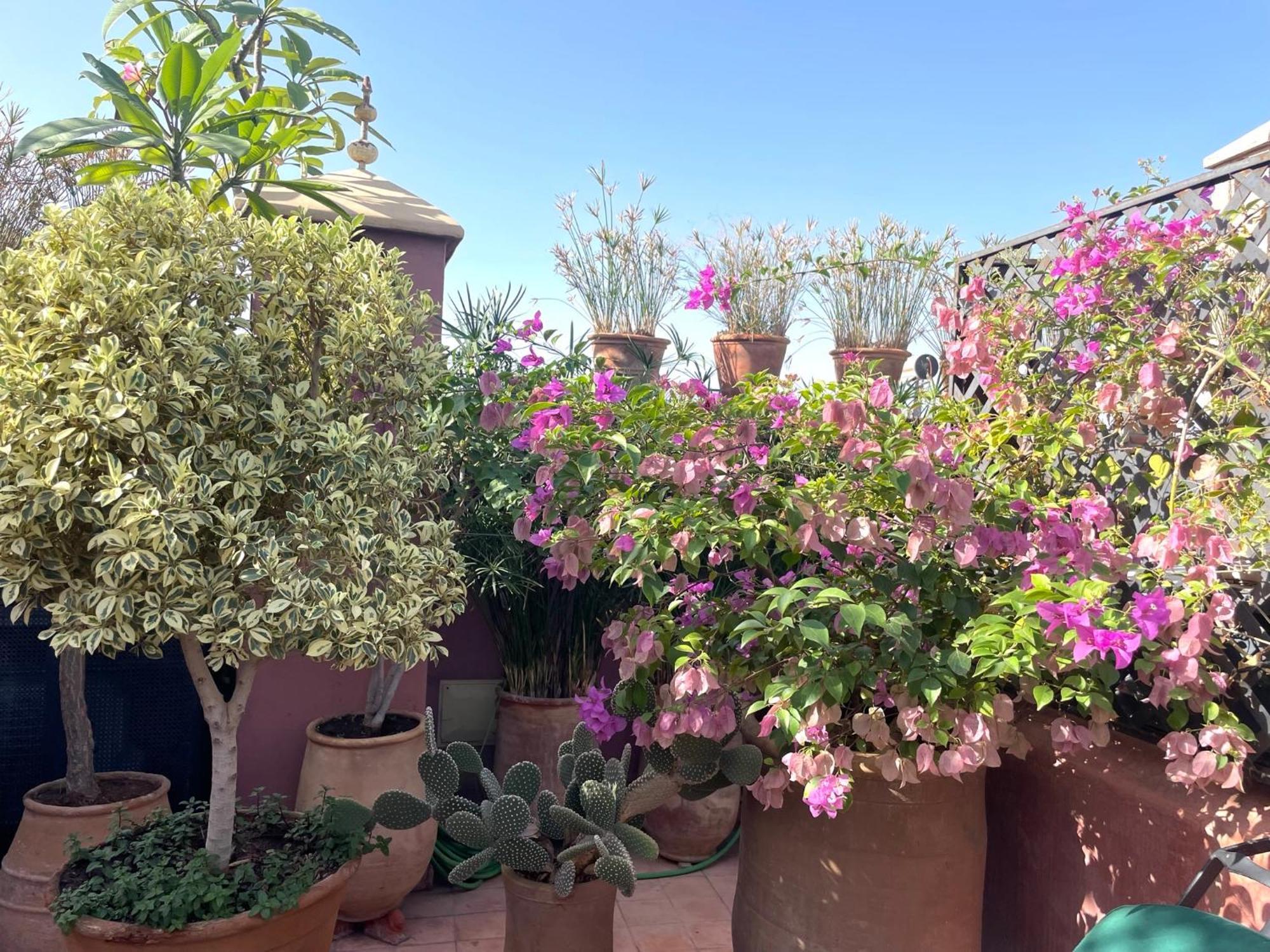 Dar Al Assad Hotel Marrakesh Bagian luar foto